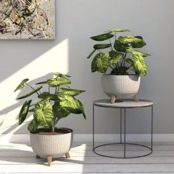 4Living Roma Line ECO Jalallinen Ruukku Ø33 Cm Latte 7 4Living Roma Line ECO Jalallinen Ruukku Ø33 Cm Latte -Veke kauppa 4Living roma line eco jalallinen ruukku O47 cm harmaa miljoo