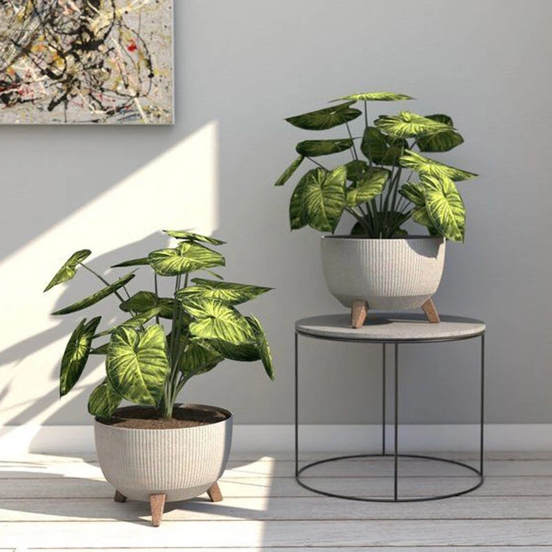 4Living Roma Line ECO Jalallinen Ruukku Ø33 Cm Latte 3 4Living Roma Line ECO Jalallinen Ruukku Ø33 Cm Latte - Image 3