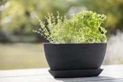 Veke kauppa -Veke kauppa Ecopots sofia aluslautanen 30 cm tummanharmaa miljoo