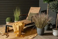 Veke Ilma Aurinkotuoli Musta/ruskea 11 Veke Ilma Aurinkotuoli Musta/ruskea -Veke kauppa Ilma aurinkotuoli miljoossa pete 10