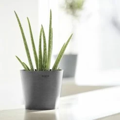 Ecopots Amsterdam Mini Ruukku 17 Cm Harmaa 7 Ecopots Amsterdam Mini Ruukku 17 Cm Harmaa -Veke kauppa ecopots amsterdam mini ruukku 17cm harmaa1