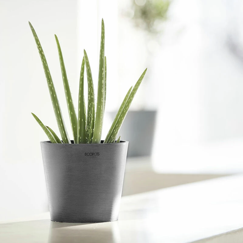 Ecopots Amsterdam Mini Ruukku 17 Cm Harmaa 4 Ecopots Amsterdam Mini Ruukku 17 Cm Harmaa - Image 4