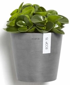 Ecopots Amsterdam Seinäruukku 20 Cm Harmaa -Veke kauppa ecopots amsterdam seinaruukku 20cm harmaa3