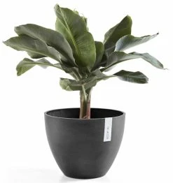 Veke kauppa -Veke kauppa ecopots antwerpen 30 ruukku tummanharmaa1