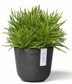 Ecopots Oslo Mini Ruukku Ø11,5 Cm Tummanharmaa -Veke kauppa ecopots oslo mini 115 tummanharmaa1