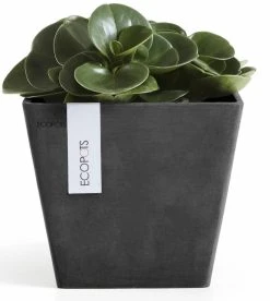 Ecopots Rotterdam Ruukku 20 Cm Tummanharmaa 10 Ecopots Rotterdam Ruukku 20 Cm Tummanharmaa -Veke kauppa ecopots rotterdam 20 tummanharmaa1