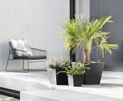 Ecopots Rotterdam Ruukku 20 Cm Tummanharmaa