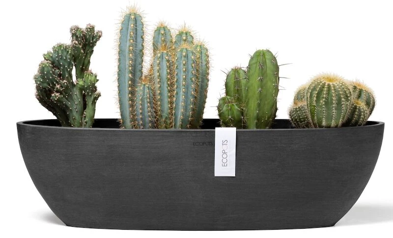 Ecopots Sofia Pitkä Ruukku 56 Cm Tummanharmaa 3 Ecopots Sofia Pitkä Ruukku 56 Cm Tummanharmaa - Image 3