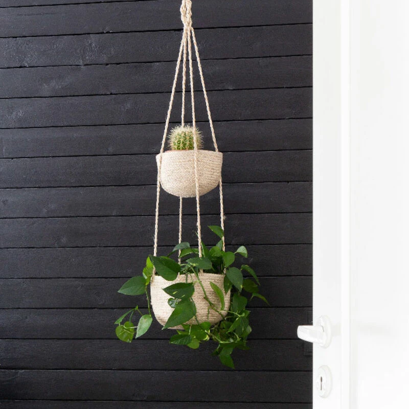 Fanni K Amppelikori Rauha 1 Fanni K Amppelikori Rauha