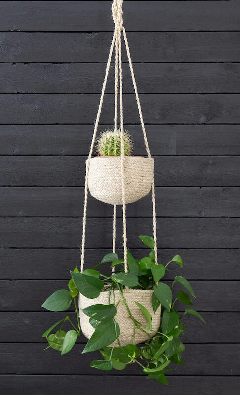 Fanni K Amppelikori Rauha 2 Fanni K Amppelikori Rauha - Image 2