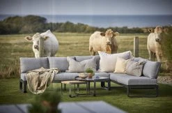 Hillerstorp Lindeby Sohvan Selkänoja Hiilenharmaa/harmaa 5 Hillerstorp Lindeby Sohvan Selkänoja Hiilenharmaa/harmaa -Veke kauppa lindeby hornsoffa 9900 9901 9902 miljo 01