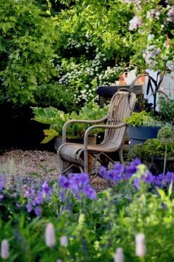 Hillerstorp Råå Rottinkituoli Harmaa 9 Hillerstorp Råå Rottinkituoli Harmaa -Veke kauppa raa 576550 miljo 07