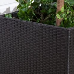 Veke Sahara Kukkaruukkusetti Musta Polyrottinki 7 Veke Sahara Kukkaruukkusetti Musta Polyrottinki -Veke kauppa sahara kukkaruukkusetti web 3