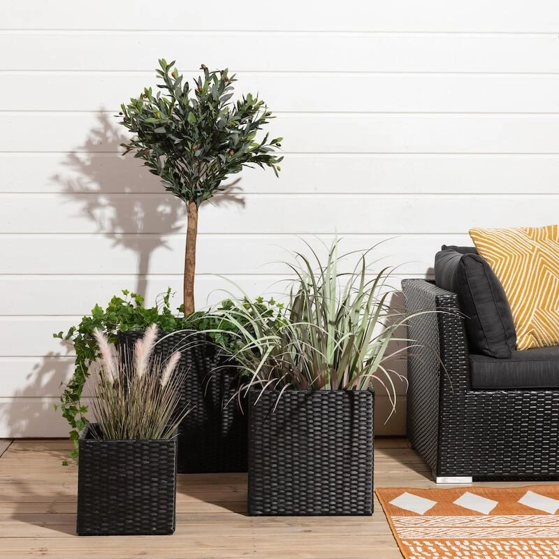 Veke Sahara Kukkaruukkusetti Musta Polyrottinki 1 Veke Sahara Kukkaruukkusetti Musta Polyrottinki